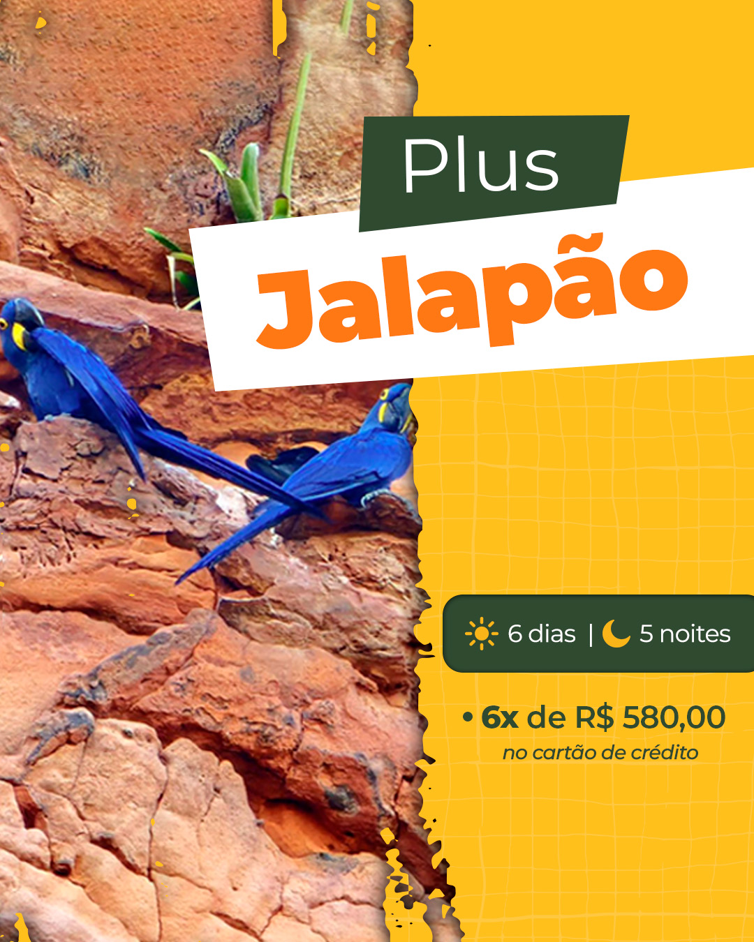 Chegou a hora de conhecer o jalapão - banner 5