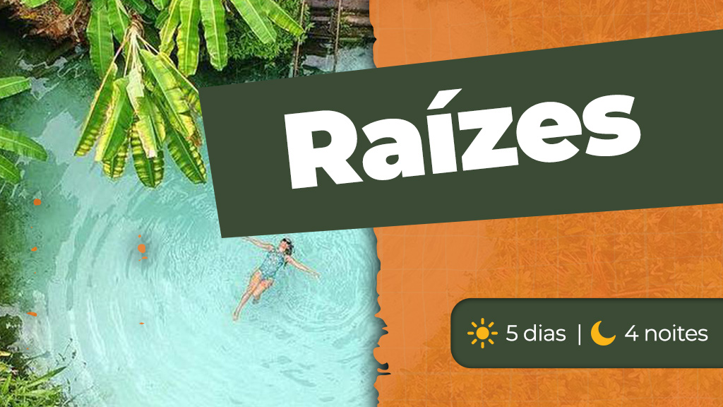Raízes Raízes